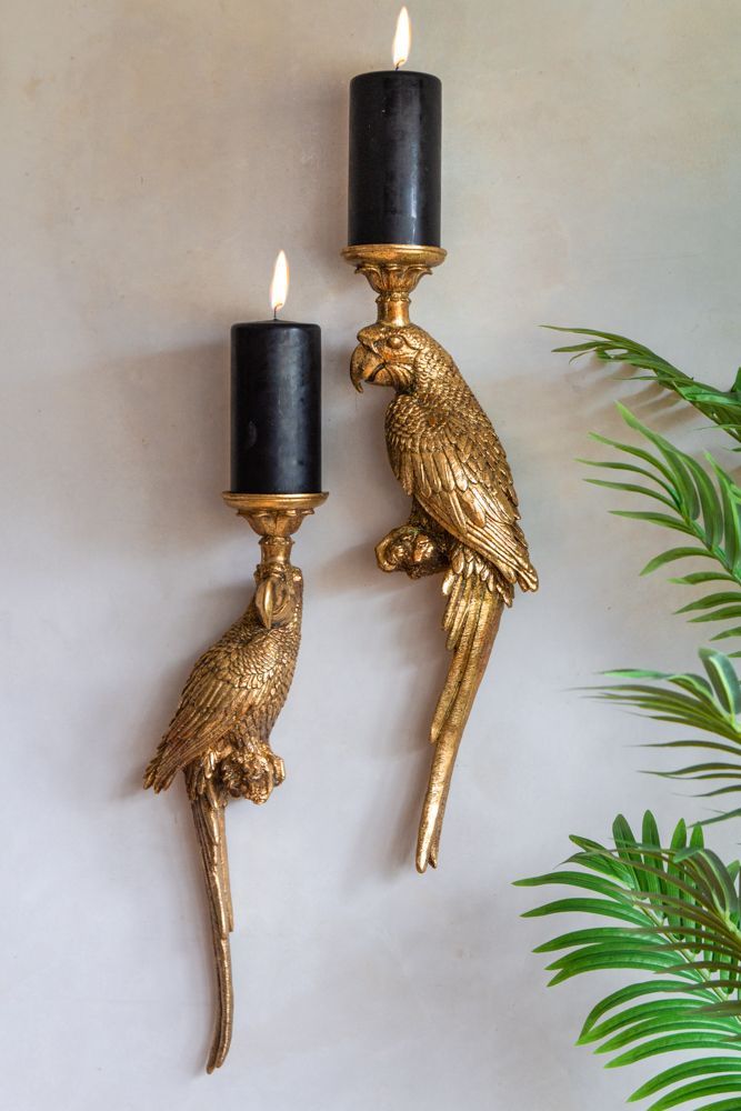 parrot sconces